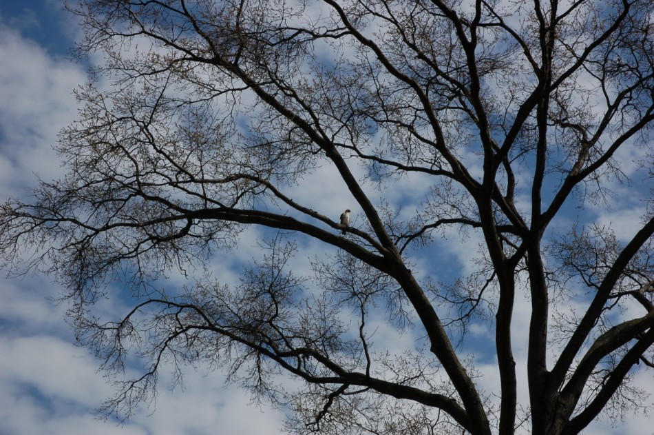 DSC_0606