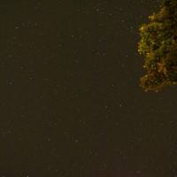 DSC_0091