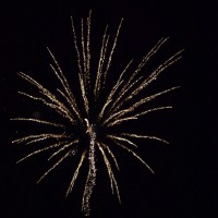 DSC_0323