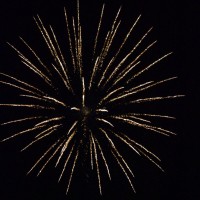 DSC_0371