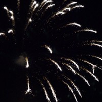 DSC_0448