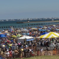 DSC_0029 DSC_0029