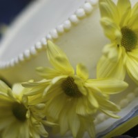 DSC_0067 DSC_0067