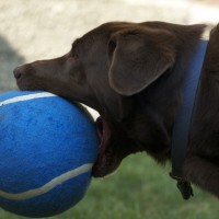 DSC_0085 DSC_0085