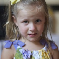 DSC_0133 DSC_0133