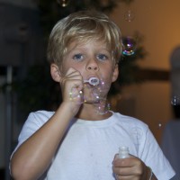 DSC_0182 DSC_0182