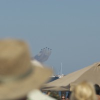 DSC_0261 DSC_0261