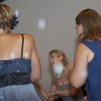 DSC_0341 DSC_0341