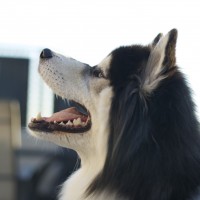DSC_0392 DSC_0392