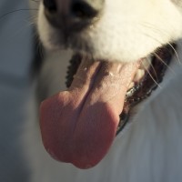 DSC_0399 DSC_0399