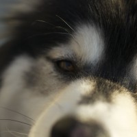DSC_0401 DSC_0401
