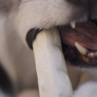 DSC_0411 DSC_0411