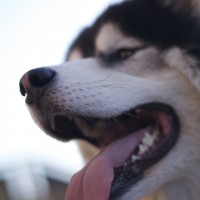 DSC_0416 DSC_0416