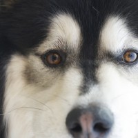 DSC_0428 DSC_0428