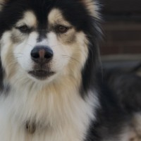 DSC_0429 DSC_0429