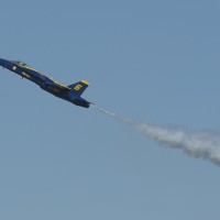 DSC_0494 DSC_0494