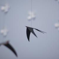 DSC_0040 DSC_0040