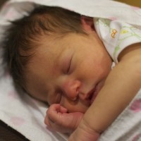 DSC_0241 DSC_0241
