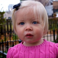DSC_0092 DSC_0092