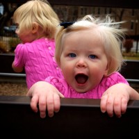 DSC_0215 DSC_0215