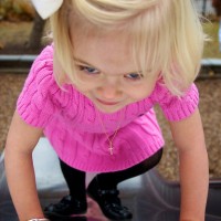 DSC_0337 DSC_0337