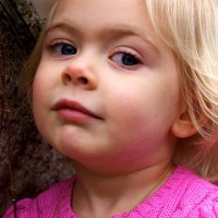 DSC_0365 DSC_0365