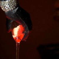 DSC_0101 DSC_0101
