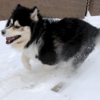 DSC_0017 DSC_0017