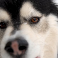 DSC_0027 DSC_0027