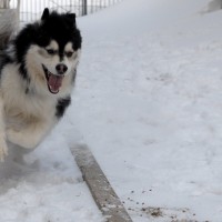 DSC_0034 DSC_0034
