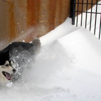 DSC_0046 DSC_0046