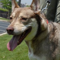DSC_0025 DSC_0025