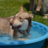 DSC_0047 DSC_0047