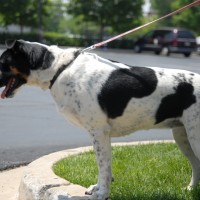 DSC_0066 DSC_0066