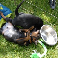 DSC_0070 DSC_0070