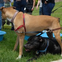 DSC_0108 DSC_0108
