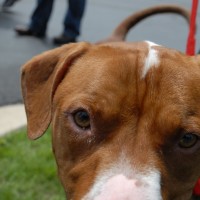 DSC_0109 DSC_0109