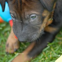 DSC_0144 DSC_0144