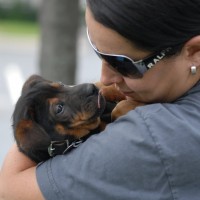 DSC_0148 DSC_0148
