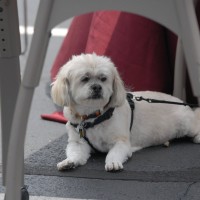DSC_0160 DSC_0160