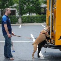DSC_0180 DSC_0180