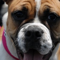 DSC_0250 DSC_0250