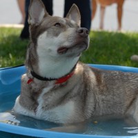 DSC_0337 DSC_0337