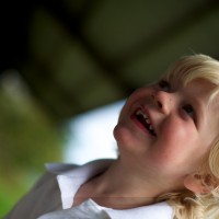 DSC_0536 DSC_0536